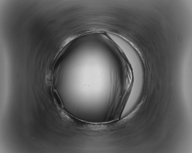 X0000086261001200704191900
