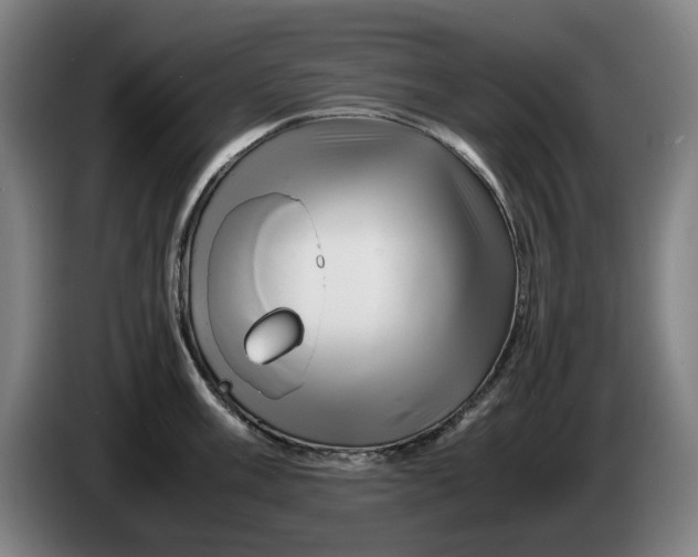 X0000086261003200704191900