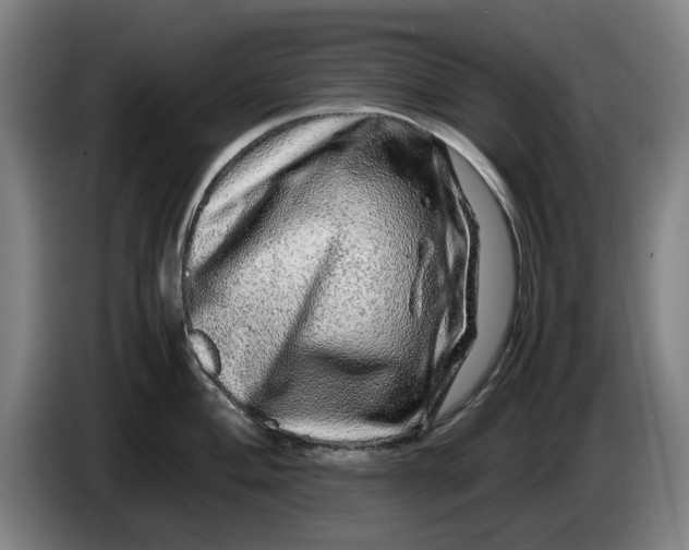 X0000086261004200704191900