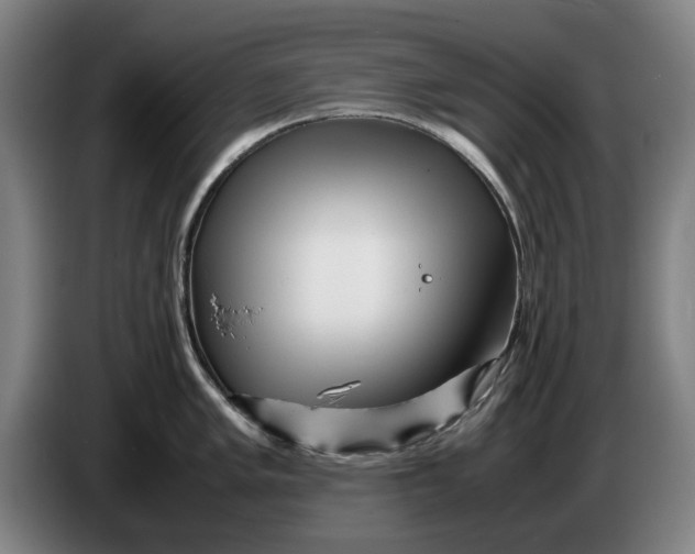 X0000086261005200704191900
