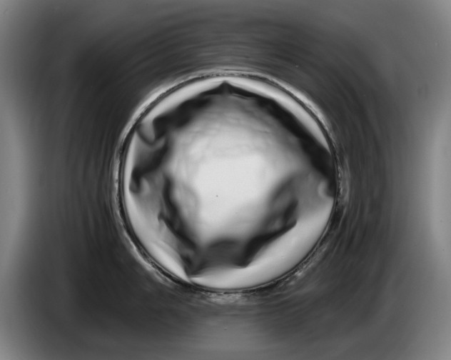 X0000086261006200704191900