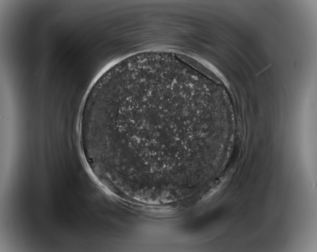 X0000086261007200704191900