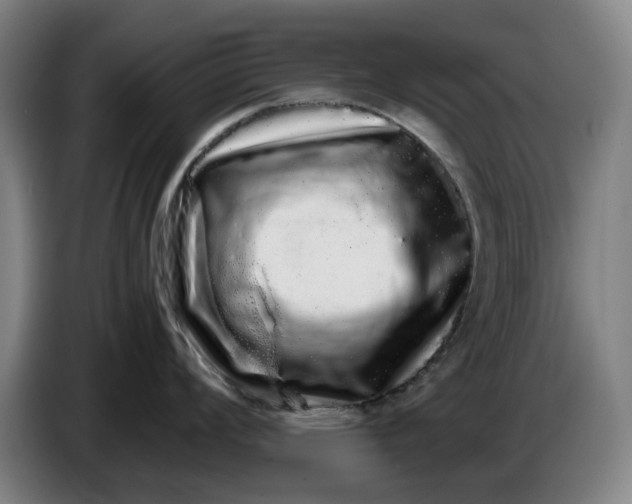 X0000086261008200704191859