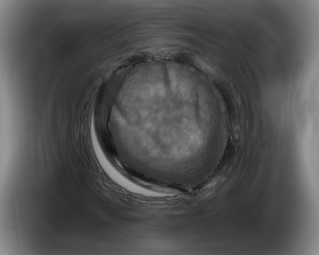 X0000086261010200704191859