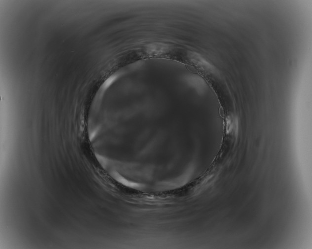 X0000086261011200704191859