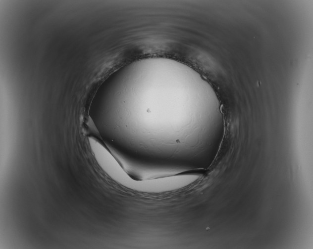 X0000086261012200704191859