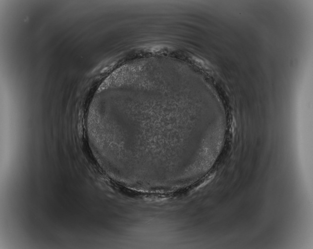 X0000086261014200704191859