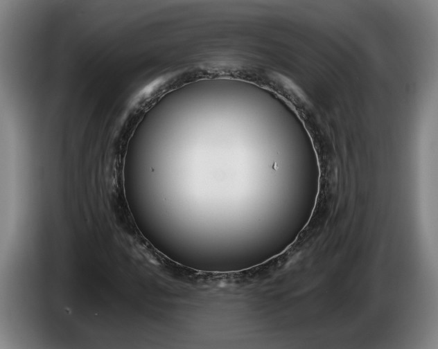 X0000086261016200704191859