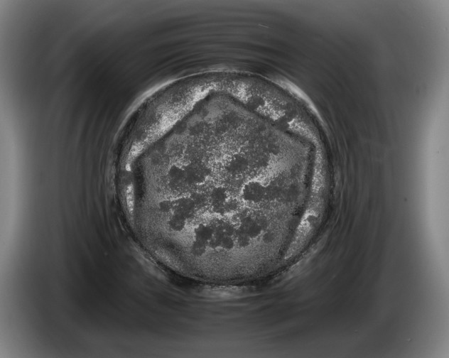 X0000086261019200704191859