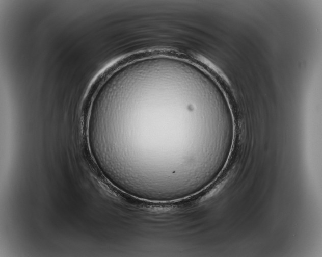 X0000086261021200704191859