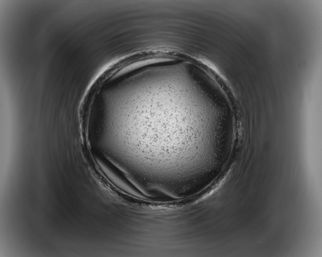 X0000086261022200704191859