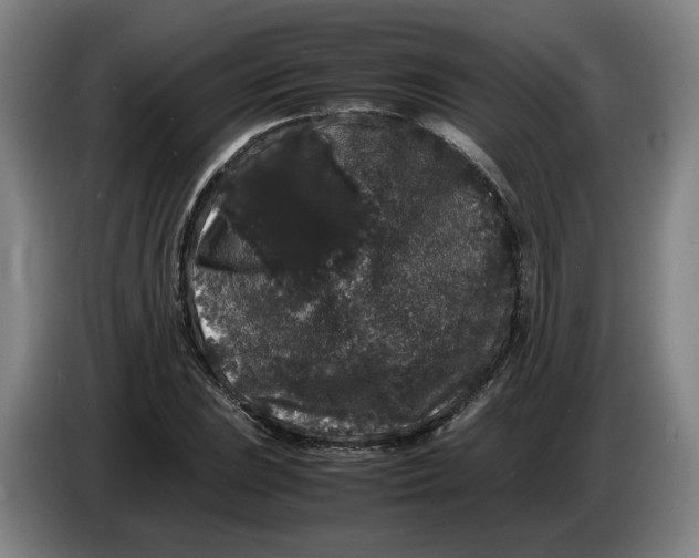 X0000086261023200704191859