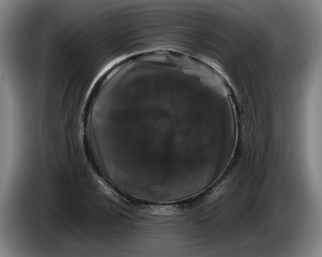 X0000086261024200704191859