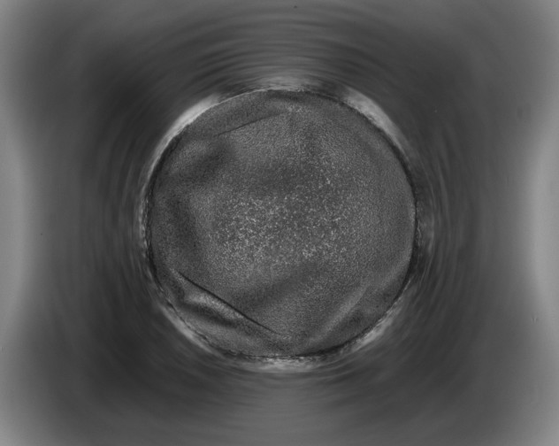 X0000086261026200704191859