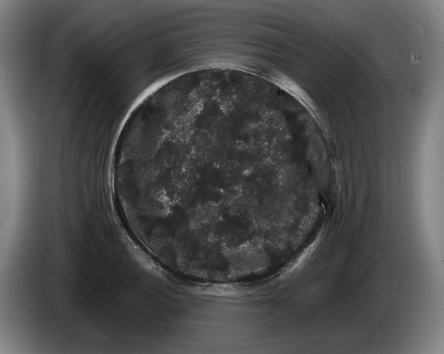X0000086261028200704191859