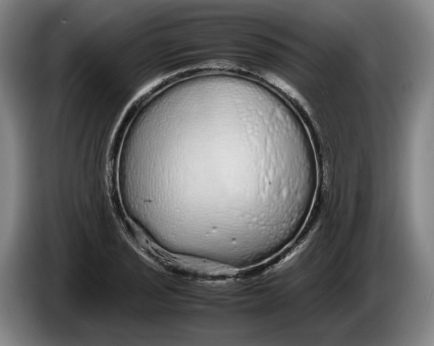 X0000086261029200704191859