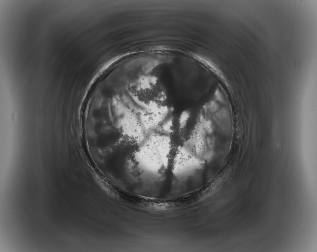 X0000086261031200704191859