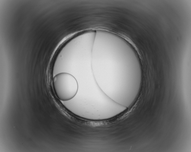 X0000086261032200704191859