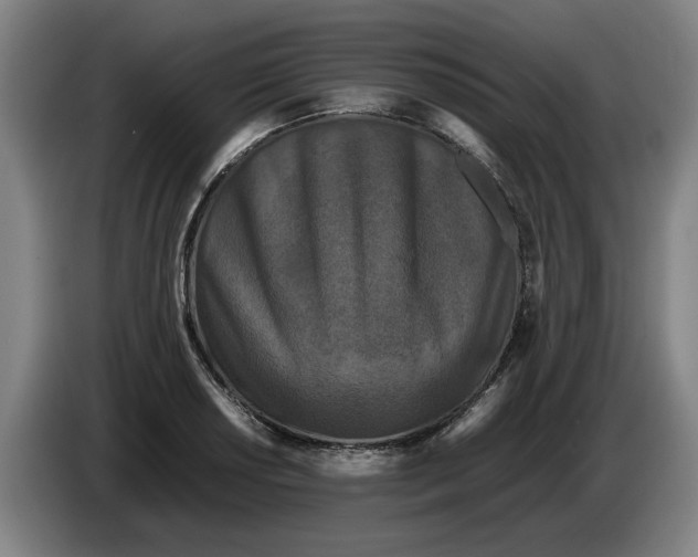 X0000086261034200704191859