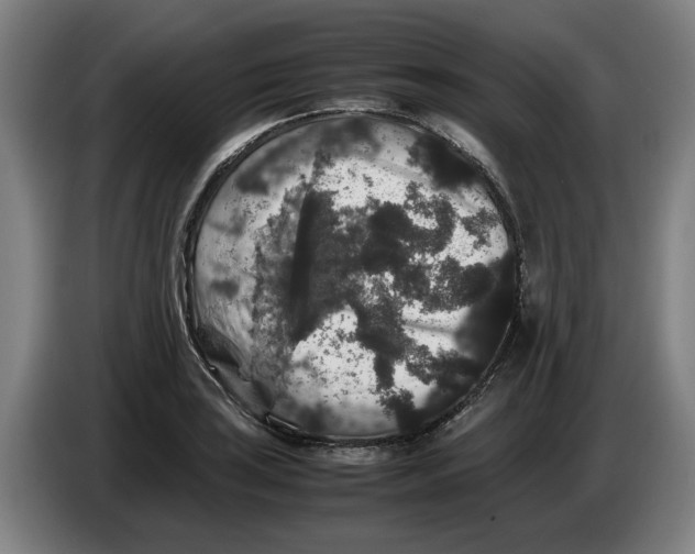 X0000086261035200704191859