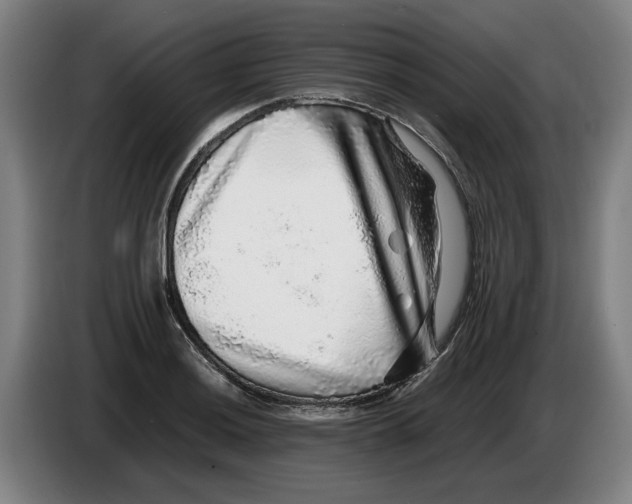 X0000086261036200704191859