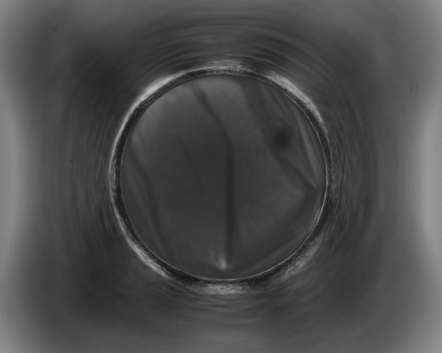 X0000086261037200704191859