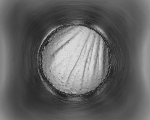 X0000086261039200704191859