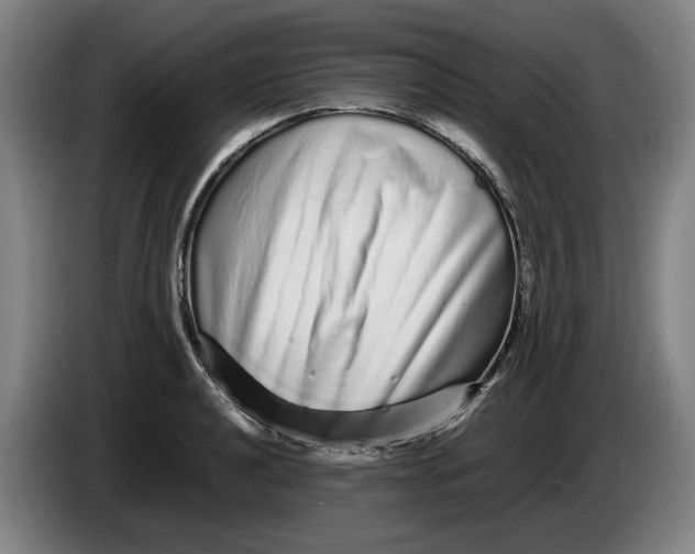 X0000086261040200704191859