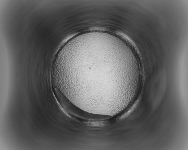 X0000086261041200704191859