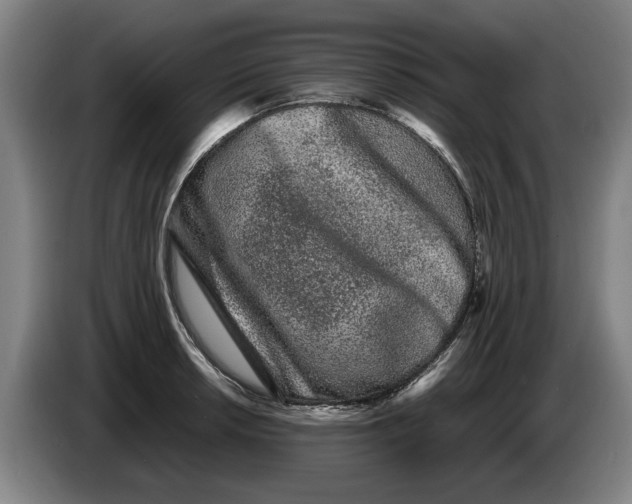 X0000086261042200704191859