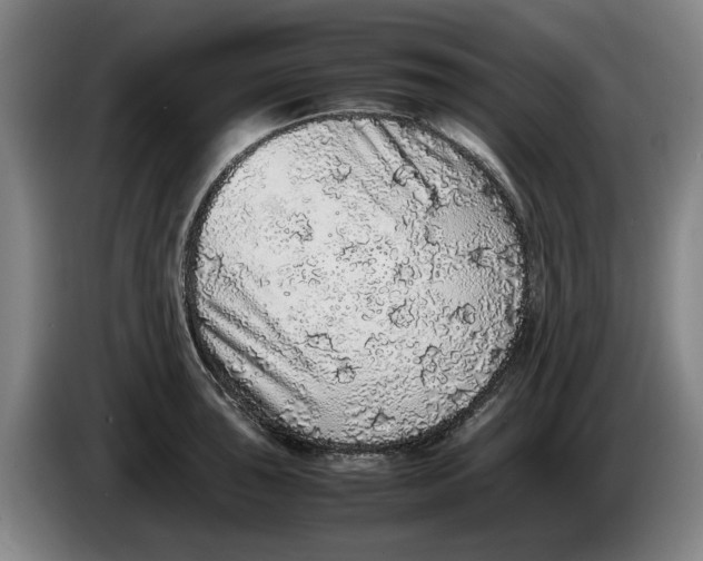 X0000086261043200704191859