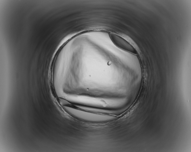 X0000086261044200704191859