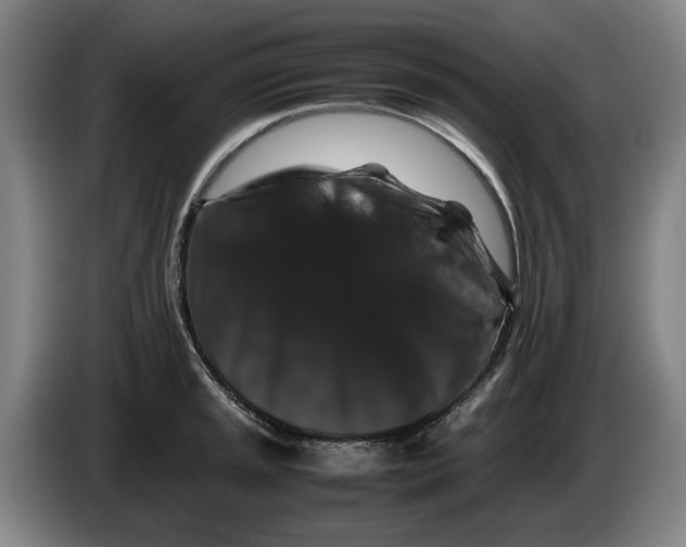 X0000086261045200704191859
