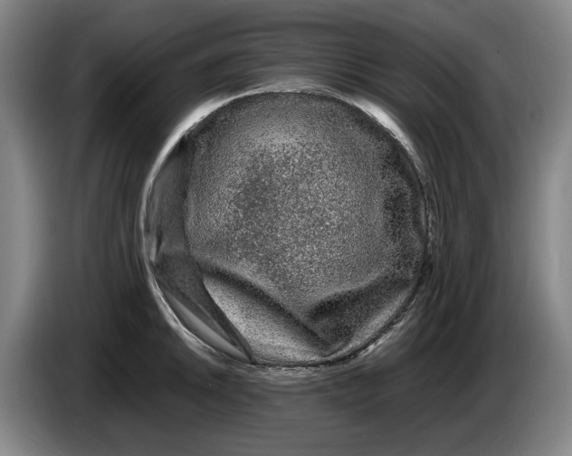 X0000086261046200704191859