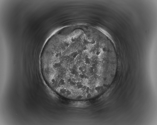 X0000086261047200704191859
