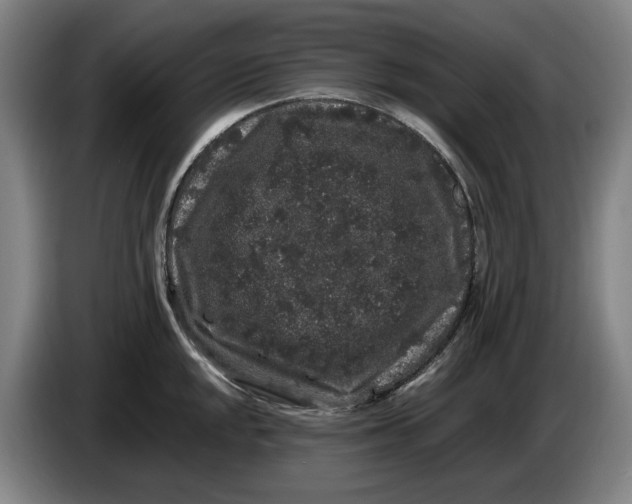 X0000086261048200704191859
