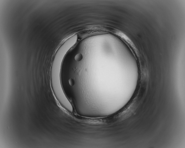 X0000086261049200704191859