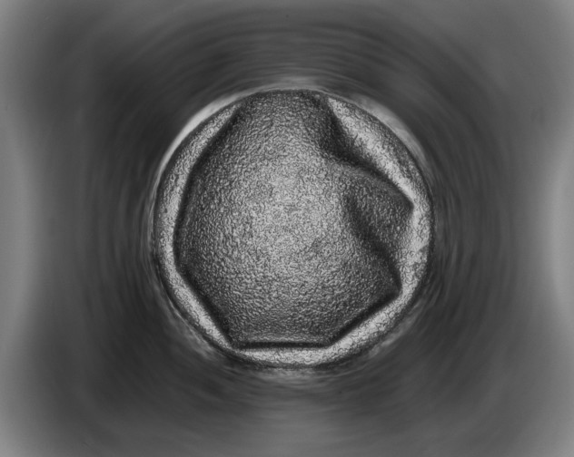 X0000086261052200704191859