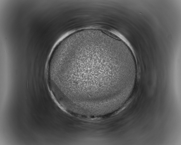 X0000086261053200704191859