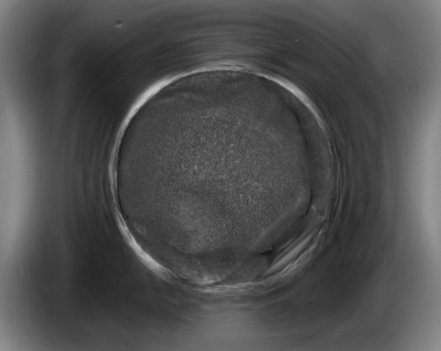 X0000086261054200704191859