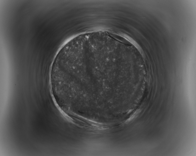 X0000086261055200704191859