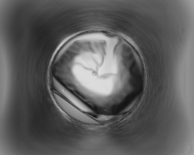 X0000086261056200704191859
