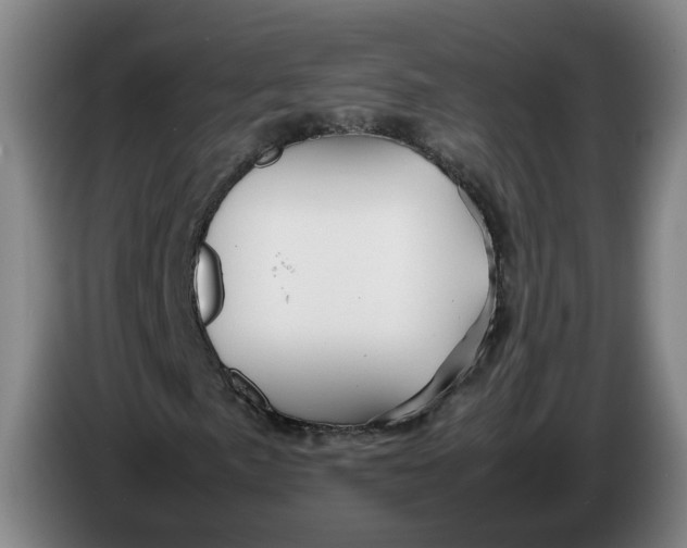 X0000086261057200704191859