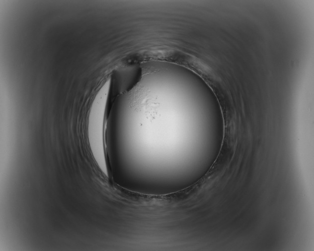 X0000086261058200704191859