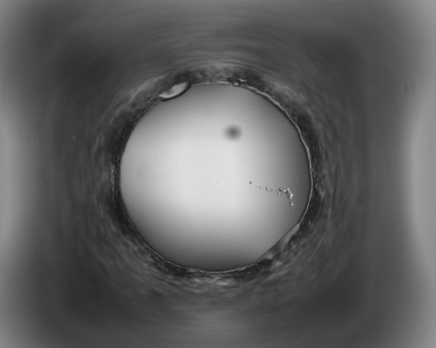 X0000086261061200704191859