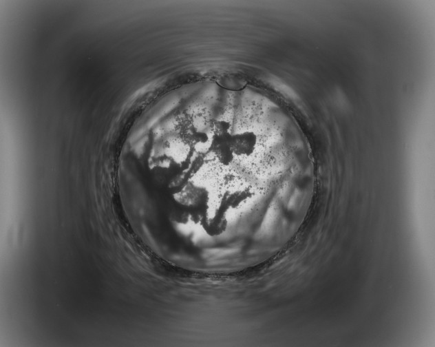 X0000086261063200704191859