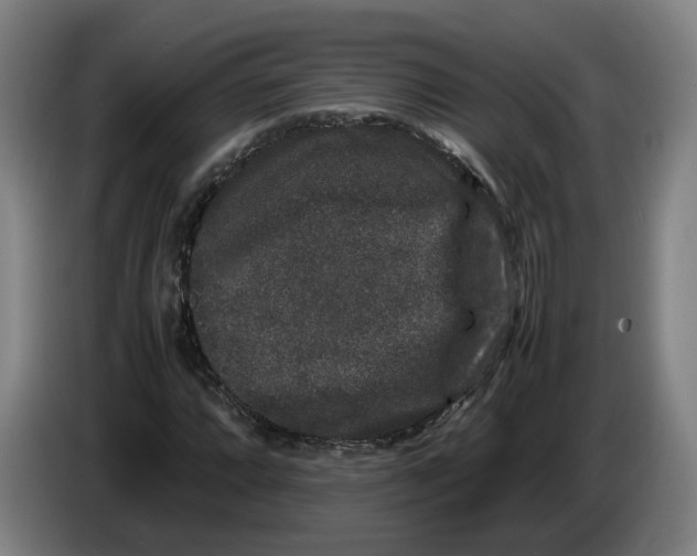 X0000086261064200704191859