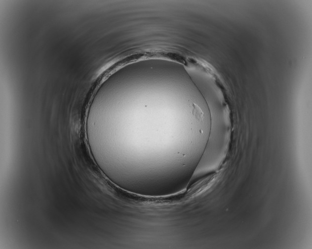 X0000086261065200704191859
