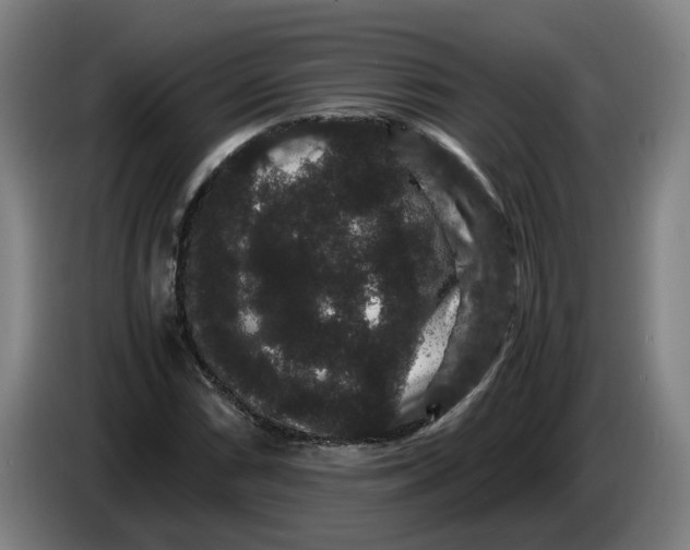 X0000086261066200704191859
