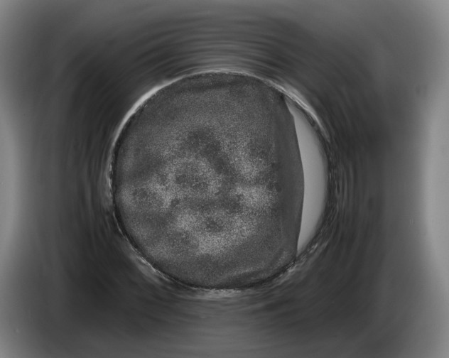 X0000086261068200704191859